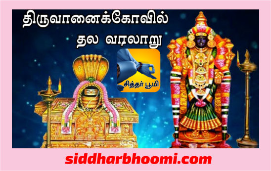 திருவானைக்கா ஜம்புகேஸ்வரர் ஆலயம்