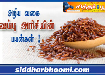 சிவப்பு அரிசி ஏன் சிறப்பு?