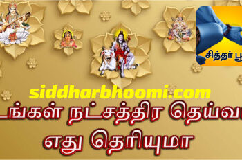 உங்கள் நட்சத்திரத்திற்குரிய அதிர்ஷ்ட தெய்வம் தெரியுமா?