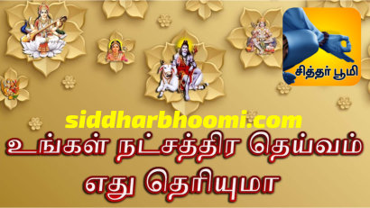 உங்கள் நட்சத்திரத்திற்குரிய அதிர்ஷ்ட தெய்வம் தெரியுமா?