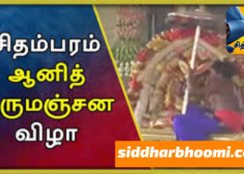 நடராஜருக்கு ஆனி திருமஞ்சனம்