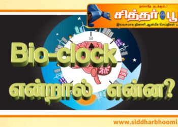 Bio-clock என்றால் என்ன?