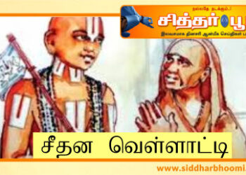 சீதன வெள்ளாட்டி