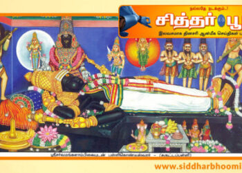 சுருட்டப்பள்ளி சிவன்கோயில்