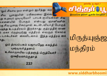 மிருத்யுஞ்ஜய மந்திரம் – உங்களை காக்கும் மருந்து இது.