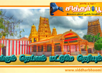 எங்கும் தெய்வம் மட்டுமே தெரியும்..!