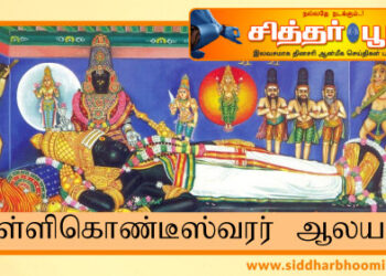பள்ளிகொண்டீஸ்வரர் ஆலயம்