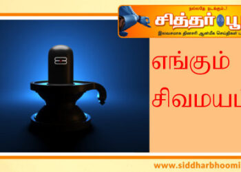 எங்கும் சிவமயம்