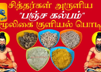 போகர் பெருமானின் பஞ்ச கல்பம்.