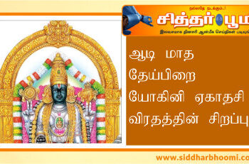 ஆடி மாத தேய்பிறை யோகினி ஏகாதசி விரதத்தின் சிறப்பு.
