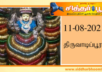 திருவாடிப்பூரம்