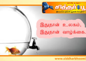 இதுதான் உலகம், இதுதான் வாழ்க்கை.