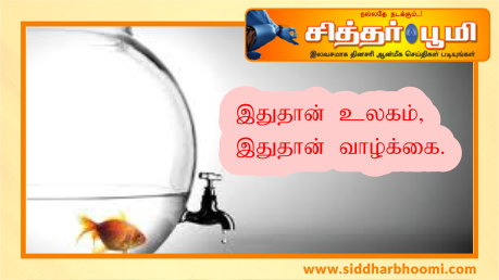 இதுதான் உலகம், இதுதான் வாழ்க்கை.