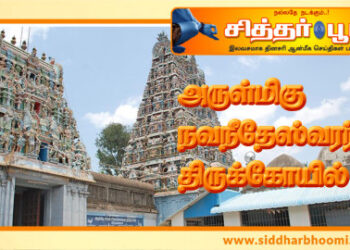 அருள்மிகு நவநீதேஸ்வரர் திருக்கோயில்..!