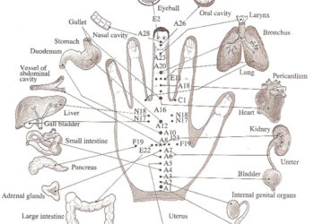 விரலை அழுத்தினால் எல்லா நோயும் போச்சு!