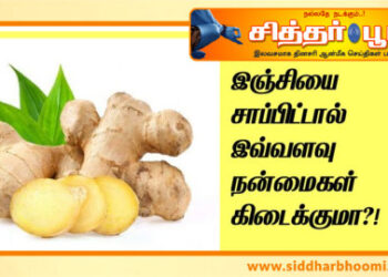 இஞ்சி மருத்துவம்.