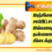 இஞ்சி மருத்துவம்.