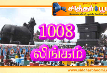 1008 லிங்கம் !