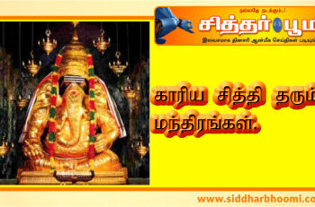 காரிய சித்தி தரும் மந்திரங்கள்.