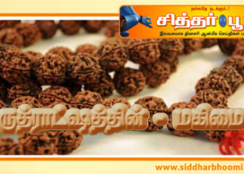 ருத்ராட்ஷத்தின்– மகிமை