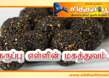 கருப்பு எள்ளின் மகத்துவம்.