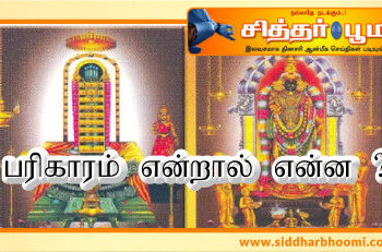 பரிகாரம் என்றால் என்ன ?