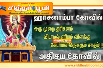 அதிசய அம்மன் கோவில்..!