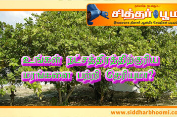 வாழ்க்கையையே மாற்றிவிடும்.