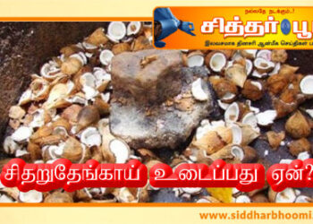 சிதறுதேங்காய் உடைப்பது ஏன்?