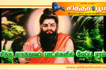 சித்த மருத்துவப் பாடல்களில் வேப்ப மரம்.