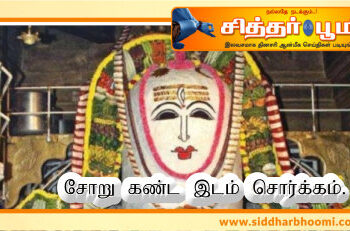 சோறு கண்ட இடம் சொர்க்கம்.
