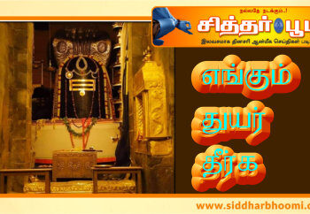 எங்கும் துயர் தீர்க