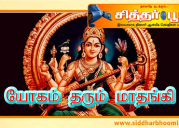 யோகம் தரும் மாதங்கி.