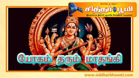 யோகம் தரும் மாதங்கி.