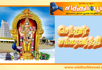 செந்தூர் சக்கரவர்த்தி ஸ்ரீ ஷண்முகர் ✨