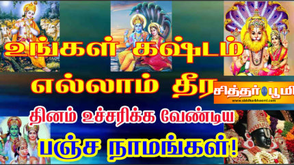 பஞ்ச நாமங்கள்.