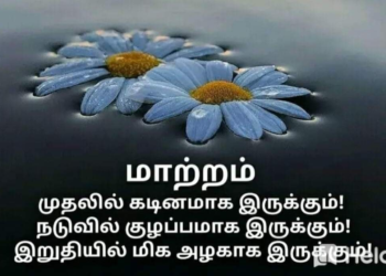 எல்லா வாய்ப்புகளும் நம்மை சுற்றியே இருக்கின்றன.
