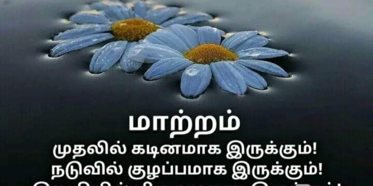 எல்லா வாய்ப்புகளும் நம்மை சுற்றியே இருக்கின்றன.