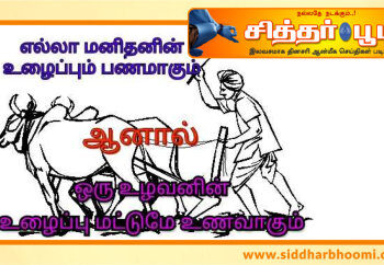 சோறு வரும் வழி – உழவனின் உழைப்பையும்.!