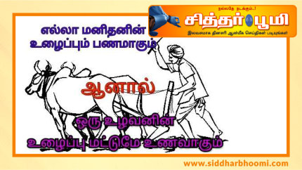 சோறு வரும் வழி – உழவனின் உழைப்பையும்.!