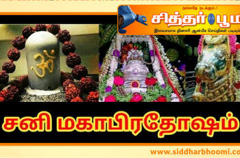 துன்பம் போக்கும் சனி மஹாபிரதோஷம்.
