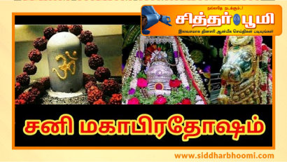 துன்பம் போக்கும் சனி மஹாபிரதோஷம்.