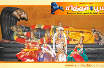 துன்பங்களை போக்கும் தை மாத தேய்பிறை ஏகாதசி.