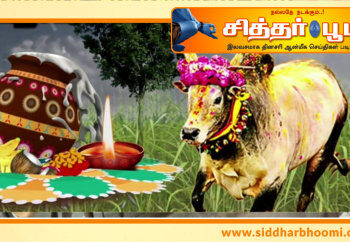 மாட்டுப் பொங்கல் ஏன் கொண்டாடுகிறோம் தெரியுமா?