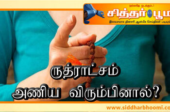 ருத்ராட்சம் அணிய விரும்பினால்.