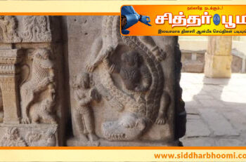 அனுமனை விழுங்கிய முதலை சிற்பம்.