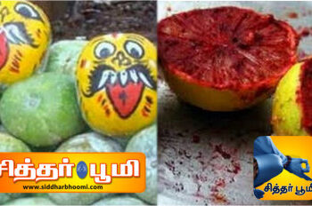 திருஷ்டி கழிக்க மறவாதீர்கள்.