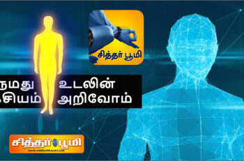 நம் உடலைப் பற்றி அறிவோம்.