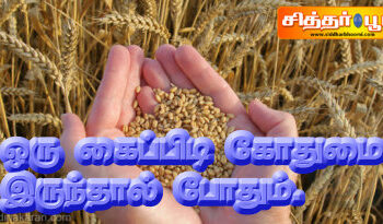 ஒரு கைப்பிடி கோதுமை இருந்தால் போதும்.