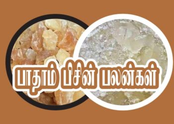 பாதாம் பிசின் பயன்கள்.